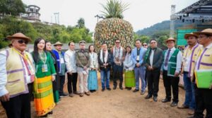 1684113-chowna-mein-2