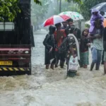 image-336936-1764413935