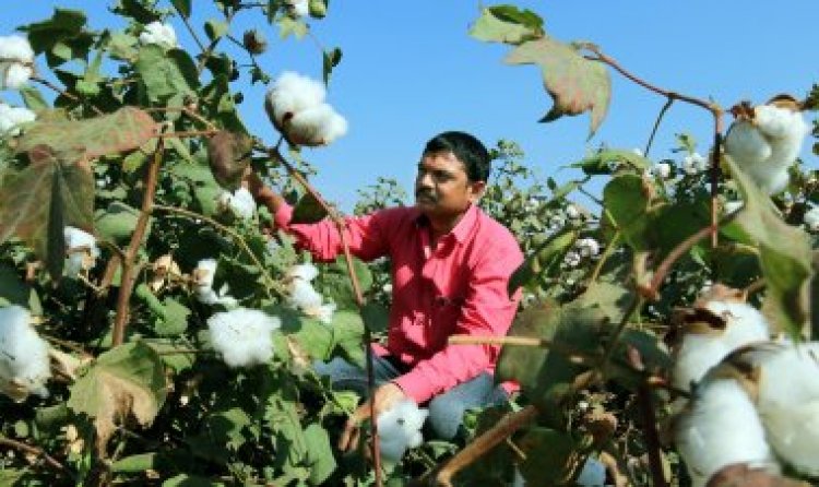 image_750x_60f40cda8d728