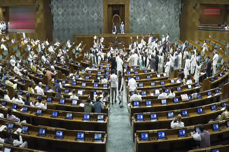 17540281741940835-lok