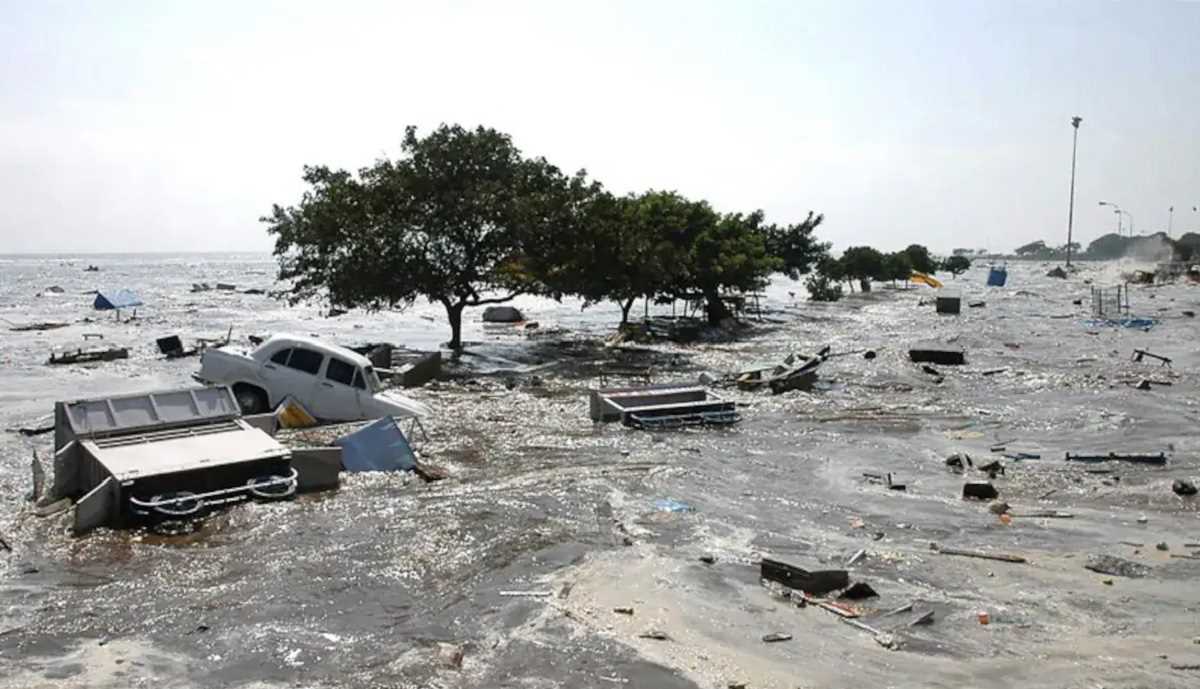 ce6d5c80-9745-4aa5-a5ee-25757e7448ae_photo