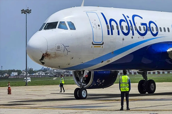 indigo-airline