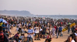 1735709818831_untitled_design_-_2025-01-01t110652.784