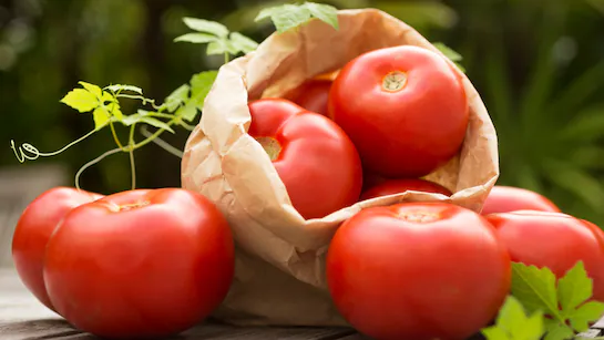 6imkimq_tomatoes_625x300_22_July_23