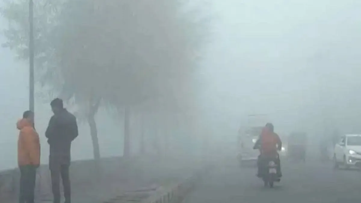 Mausmas-1765247890811