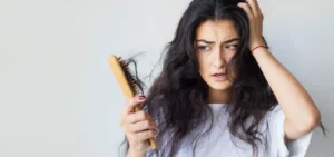 Shutterstock_2053913117