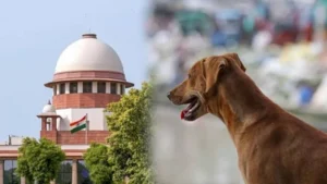 Supreme-Court-hearing-again-stray-dogs-case