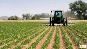 artic_42539_17052743