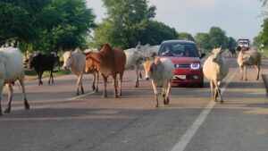 hamirpur_1-sixteen_nine