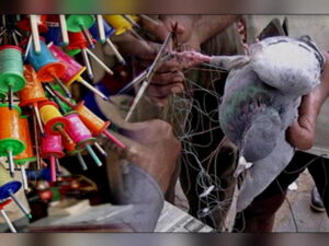 kitefest1-1579167357