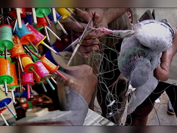 kitefest1-1579167357