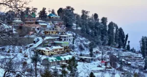 og-shimla