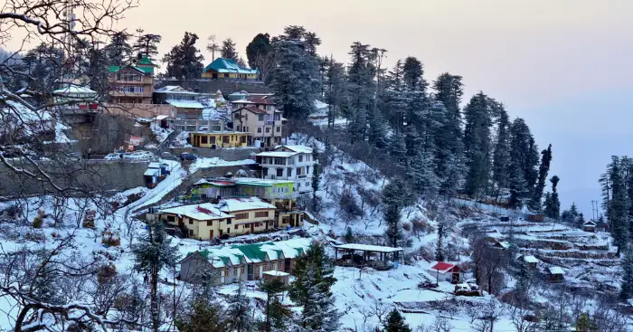 og-shimla