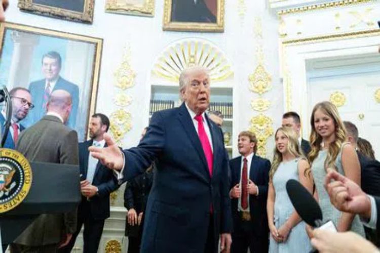 1774416797Trump-1_V_jpeg--442x260-4g