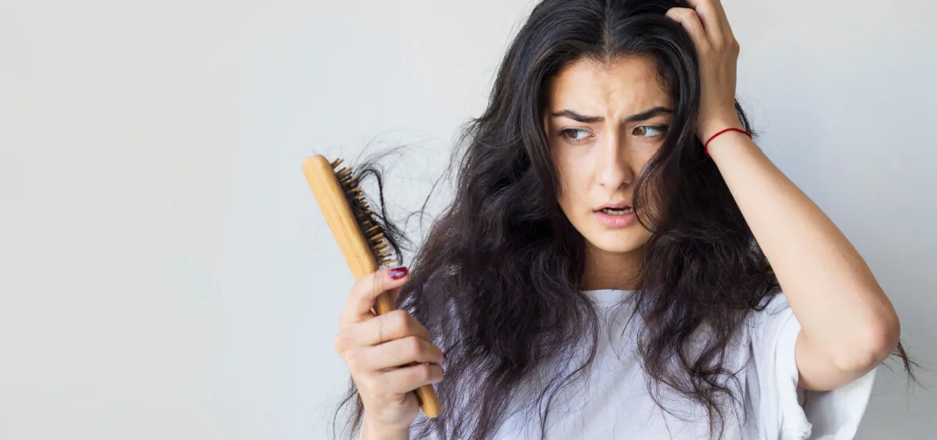 Shutterstock_2053913117