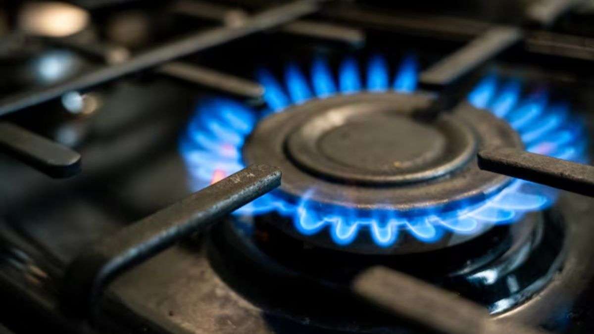 burner-freepik-1774351980