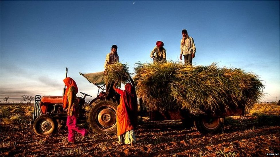 _115697319_76f91e10-b6ba-4cbf-9f1b-303a24d42688