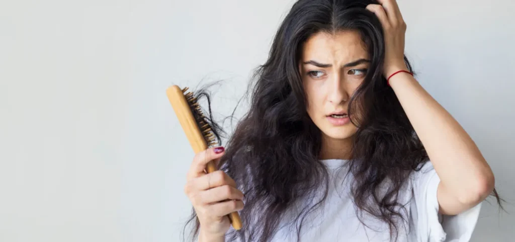 Shutterstock_2053913117-1024x481