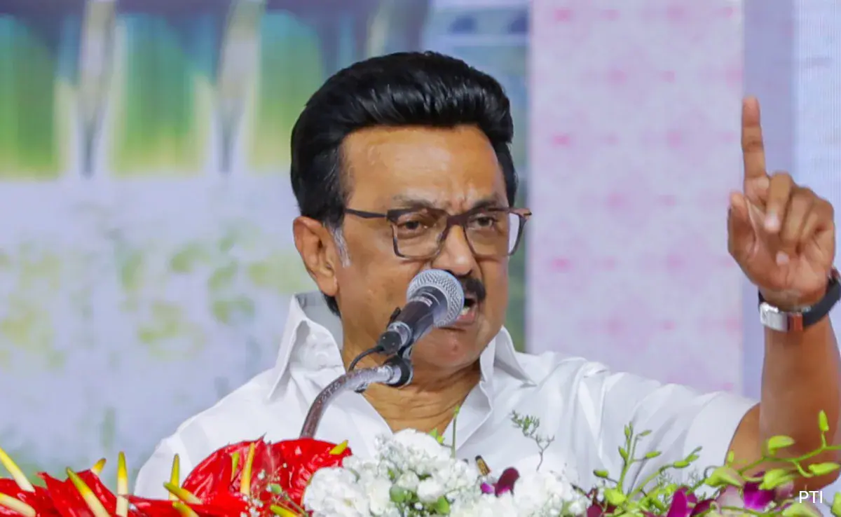 ao4r63m8_mk-stalin_625x300_15_September_25