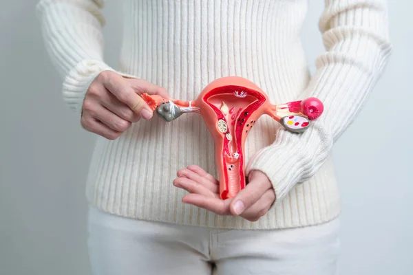depositphotos_648007162-stock-photo-woman-holding-uterus-ovaries-model