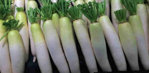 radish