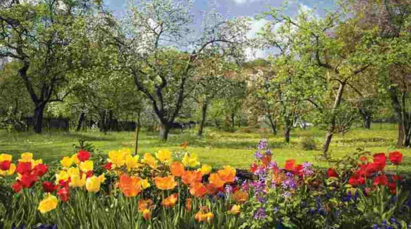 ritu-basant-ayi-800x445